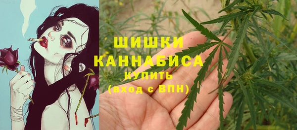 прущие крисы Армянск