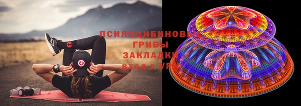 стафф Россошь